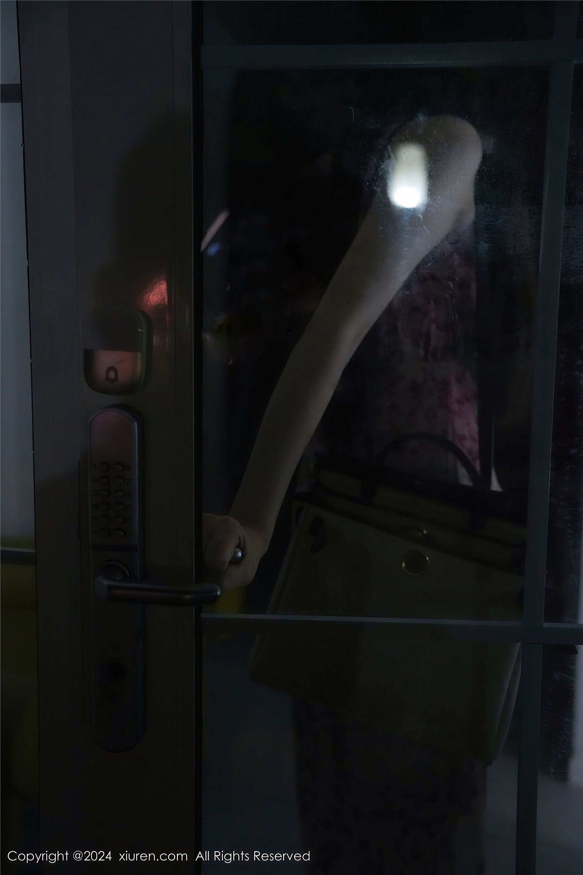 Xiuren秀人网 2024.07.12 NO.8855 Erikaki